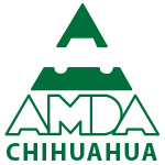 Amda-Chihuahua