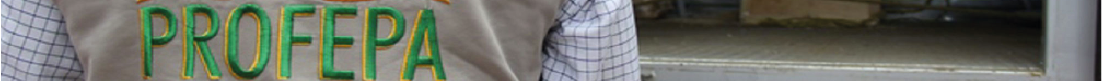 Profepa