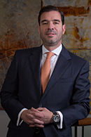 FernandoLascurainDirectorio