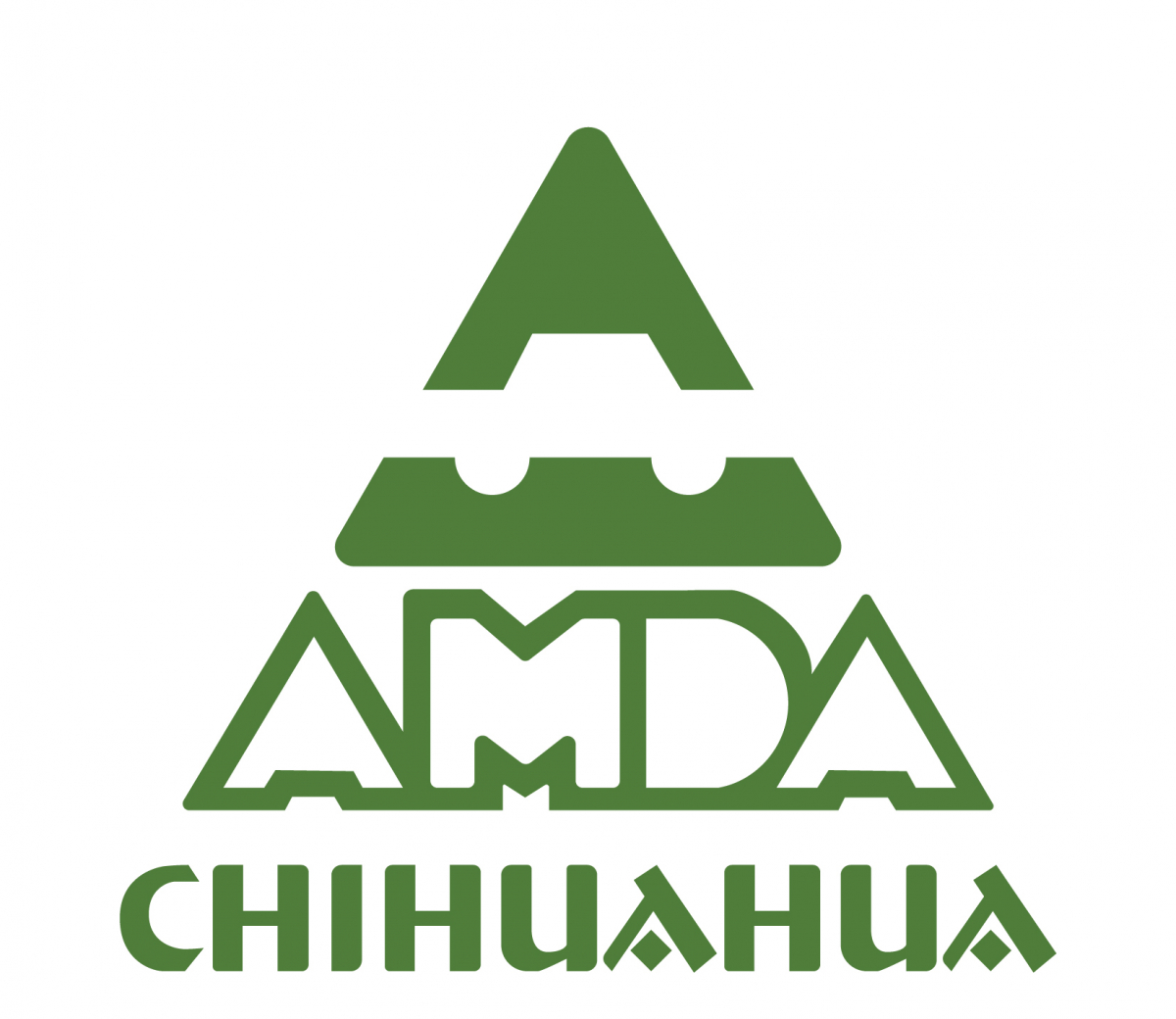 ASOCIACIONES ESTATALES – AMDA