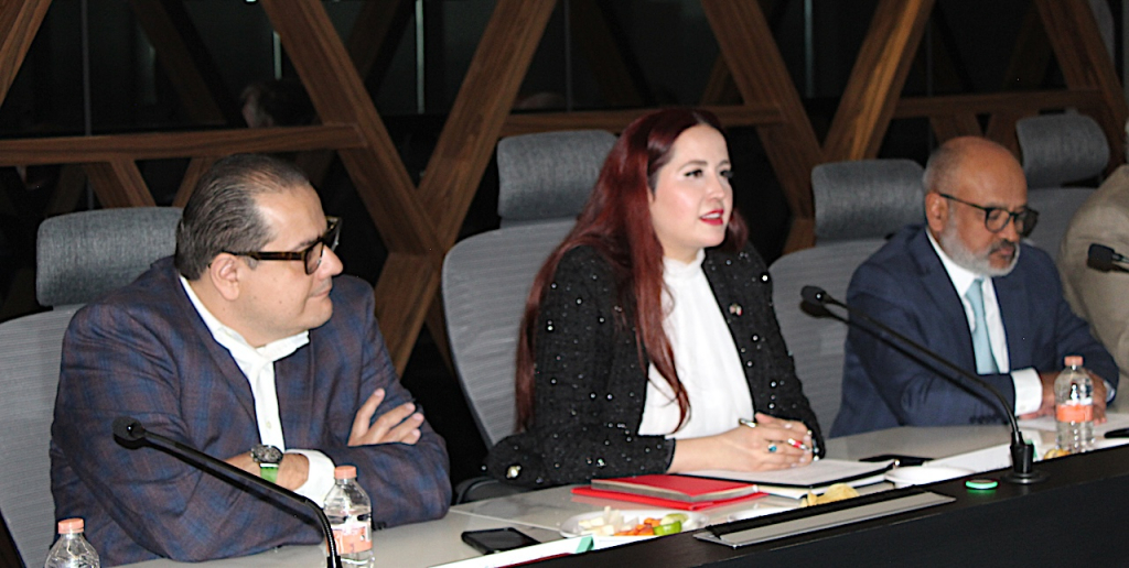 amda_consejo_250619